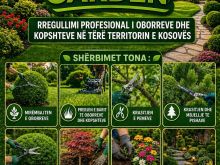 Rregullim profesional i oborreve dhe kopshteve