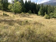 📢 SHITEN TROJE NË RUGOVË – REKA E LLUGËS, PEJË🌄