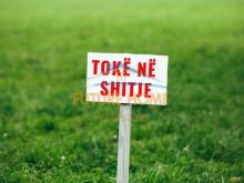 Shitet, Toke ne Bilaj, Fushë-Krujë