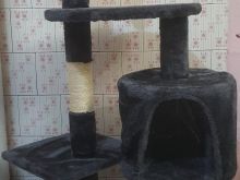 Pemë për mace (cat tree) – në gjendje shumë të mirë