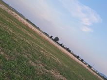 ID 17776585  SHITET TOKE PER KAPANONE NE FLLAK DURRES