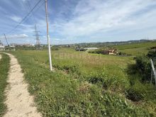SHITET TOKE ME PAME LIQENI NE ARAPAJ 4319M2
