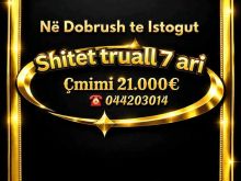 Shiten 7ari truall në Dobrush, Istog