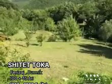 Shitet Toka Ferizaj,Burrnik