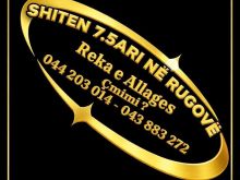 SHITEN 7.5 ARI NË RUGOVË📍 Reka e Allagës💰 Çmimi: ?