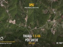 Truall 1.5 Ha për #SHITJE në Koliq