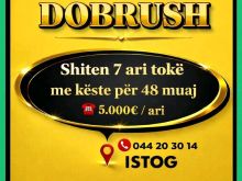 🌟 Shiten Troje nga 7 Ari – Dobrush, Istog 🌟🏡