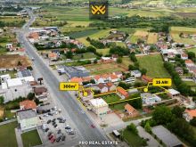 Truall 25 Ari dhe shtëpi 300m² për #SHITJE në Milloshevë