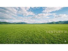 Shitet toke 12,982 m² ne Levan, Fier