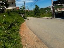 SHITEN 11 ARI TOK NE SOFALI
