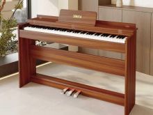 Piano digjitale te reja