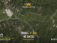 Truall 31 Ari për #SHITJE në Radashevc