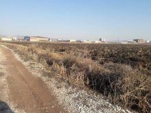 Shiten 56 ari ne Konjuh afër rrugës Prishtinë-Ferizaj