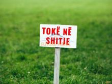 0696043713, Shitet Toke, Borsh