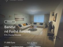 Shitet banesa me flete poseduese