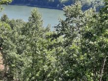 Ofrojm, Parcel pej 4 ari ne Orllan ngat Restorant Adriatikut