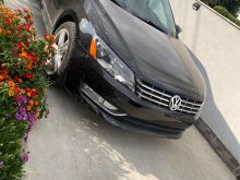 Passat sel