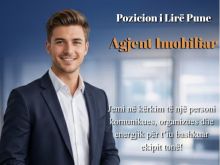 POZICION I LIRË PUNE Agjent Imobiliar