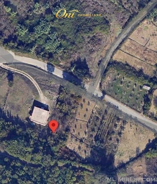 SHITET TOKE 1000M2 KODER KASHAR