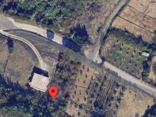 SHITET TOKE 1000M2 KODER KASHAR