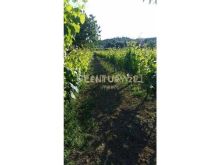 TOKE PER SHITJE NE BALDUSHK( Tiranë) - 103,000€ | 2300 m² 10