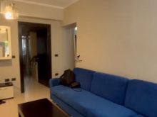 APARTAMENT ME QERA 2+1 RRUGA E KAVAJES 60.000 LEKE  FH-77288