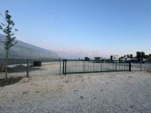 0697603180Toke me Qira në Shën Avlash, Durrës - 800€ | 4000