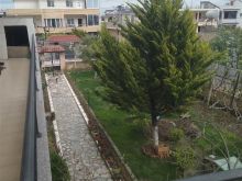 Okazion ne shkozet