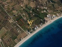 SHITET TOKE 1.460 M2 NE BORSH 350.000 EURO