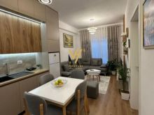 JEPET APARTAMENT 1+1+BLK ME QIRA TE KADIU, ALI DEMI 470 EURO