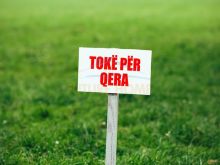 0696006906 Qira, Toke, TEG