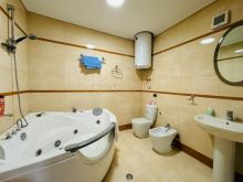 APARTAMENT ME QERA 2+1 PRANE LIQENIT ARTIFICAL TE TIRANES