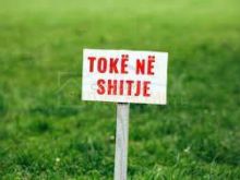 MEZEZ, SHESIM TOKE