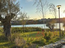 Vile ne shitje tek Swan Lake Residence FARKE