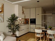 🏡 SHITET SUPER  APARTAMENT 1+1 , MALI ROBIT