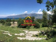 🆕🌳 SHITET TOKË NË TRAGJAS, VLORË