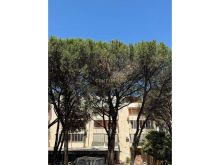 SHITET SUPER APARTAMENT 1+1 TEK MALI ROBIT !