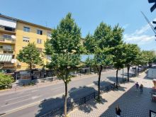 APARTAMENT 1+1 ME QIRA TE RRUGA E DURRËSIT