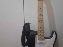Kitare Fender Squier Stratocaster