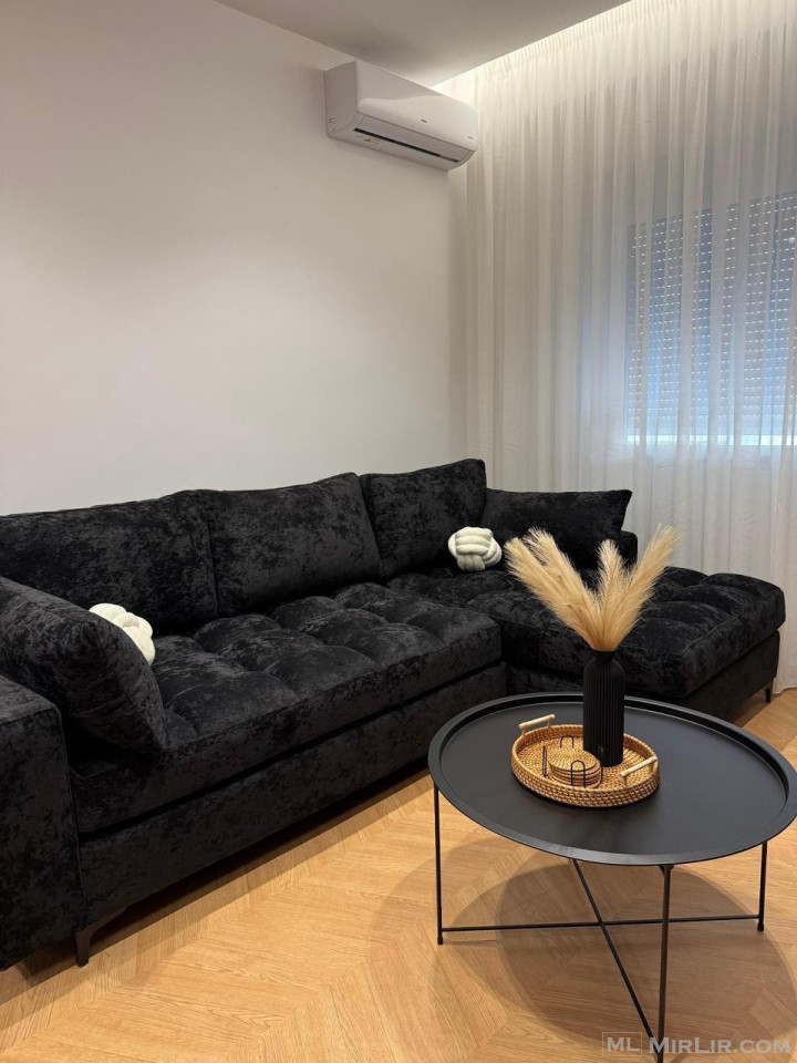 APARTAMENT ME QIRA 1+1 KOPSHTI ZOLOGJIK