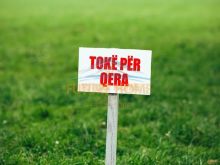0696069906 Qira, Toke, TEG