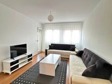 Banesë me qira 1+1 në Arbëri (Dragodan)