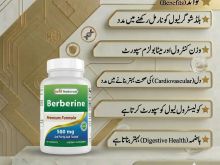 Best Naturals Berberine 500mg 120 Capsules Price in Okara