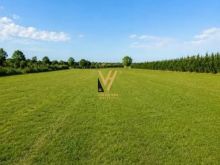 SHITET TOKE ARE 5.300 M2 PERBALLE PALMANOVA 636.000 EURO